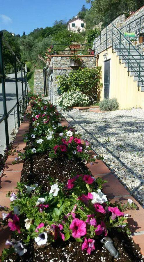 B&B Le Colline Di Bana Camogli Exteriér fotografie