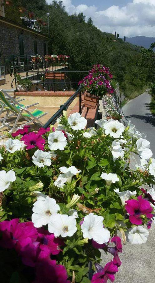 B&B Le Colline Di Bana Camogli Exteriér fotografie