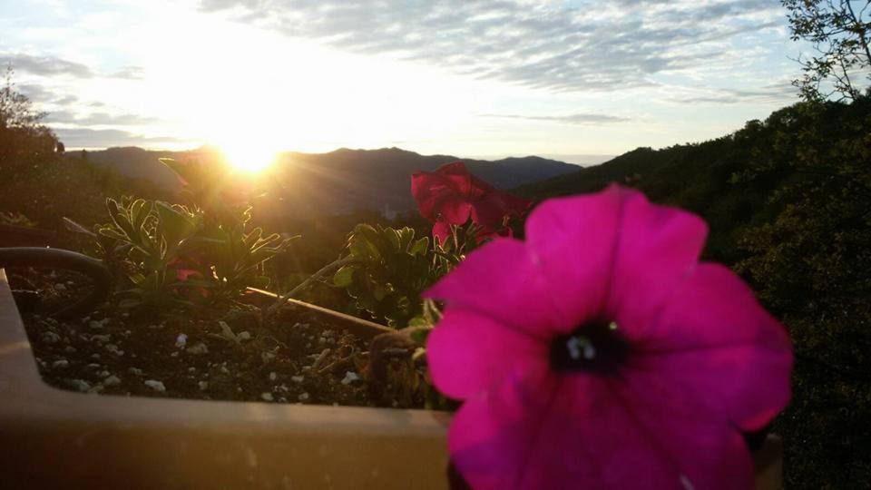 B&B Le Colline Di Bana Camogli Exteriér fotografie